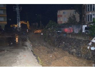 Vali Cirit Hopa’da İncelemelerde Bulundu.