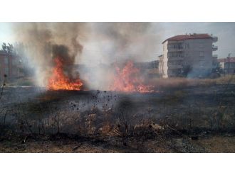 Otluk Alanda Çıkan Yangın Büyümeden Söndürüldü