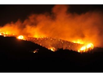 Seferihisar’da 20 Dekarlık Ormanlık Alan Yandı