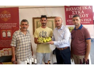 Ayto Üyeleri Yunan Pazarına Giriyor