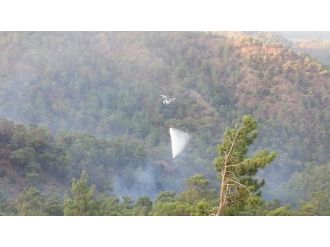 Köyceğiz’de Orman Yangını