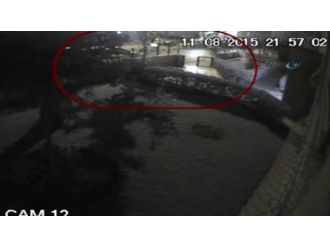 Cesedin Çöpe Atıldığı O Anlar Kamerada !