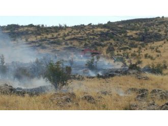 Çüngüş’te Korkutan Orman Yangını