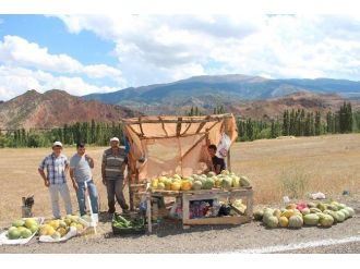 Dutlu Kavunu Pazarda