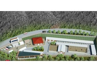 Bilecik’te Sokak Hayvanlarının Barınaksız Kaldığı İddiası