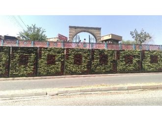 Dikey Bahçe Vatandaşların İlgi Odağı Oldu