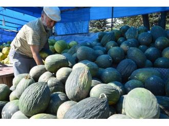Kazan’ın Kara Kavunu Pazarda Yerini Aldı