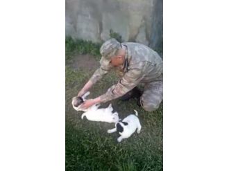 Şehit Binbaşının Hayvanları Severken Çekilen Görüntüleri Ortaya Çıktı