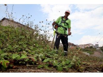 Başiskele’de Altı Ayda 3 Bin 200 Dekar Alanın Çimleri Biçildi