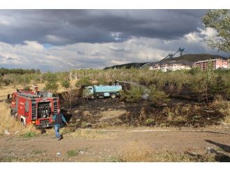 İtfaiye’nin Erken Müdahalesi Ağaçları Yanmaktan Kurtardı