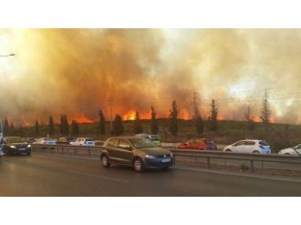 Tuzla’da Askeri Alanda Yangın