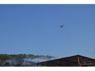 Tüpraş Tesislerine Yakın Bölgede Çıkan Yangın Korkuttu