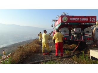 Hatay’da Orman Yangını