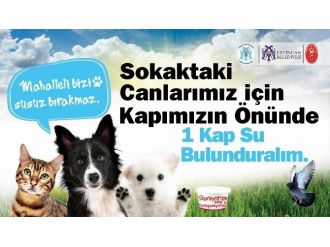 Sokaktaki Hayvanlar İçin Bir Kap Su!