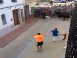 Boğanın Boynuz Darbeleri Öldürdü