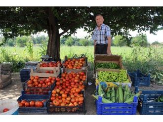 Zararına Da Olsa Hormonsuz Sebze Üretip Satıyor