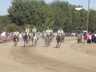 Daday Da 30 Ağustos Zafer Bayramı Ve At Yarışları Başlıyor