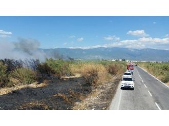 Yol Kenarında Başlayan Yangın Sazlığı Yaktı