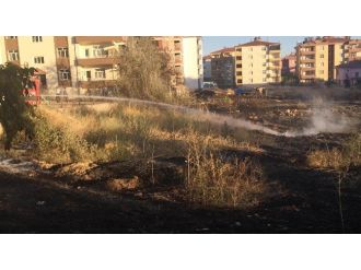 Boş Arazideki Yangın Siteye Sıçradı