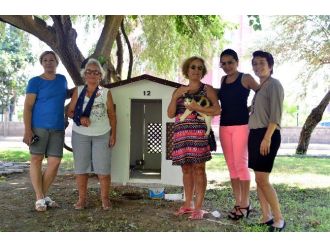 Muratpaşa’dan Parklara Kedi Evleri