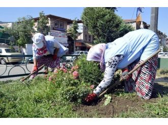 Sonbahar Çiçekleri Ekilen Refüjler Kenelere Karşı İlaçlanıyor