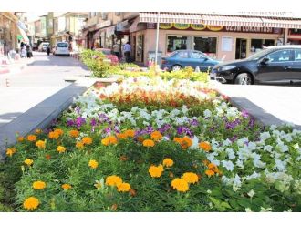 Sungurlu Çiçek Açtı