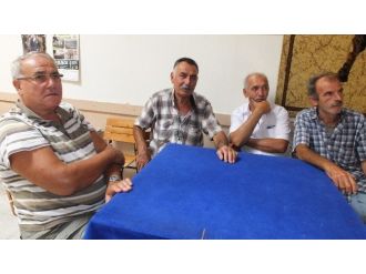 Deve Güreşi Özlemini Kahvehanede Gideriyorlar