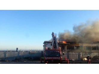 Bir Tarih Küle Dönüyordu