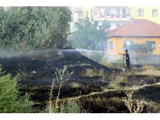 Ot Yangını Paniğe Neden Oldu