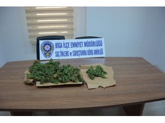 Biga’da Hint Keneviri Operasyonu