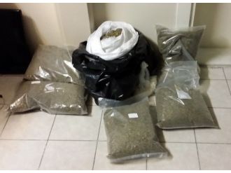 (Özel Haber) Otomobilin Koltuk Döşemelerinin İçinden Bonzai Çıktı