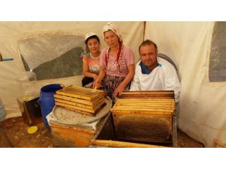 Bal Çok, Üreticisine Tadı Yok