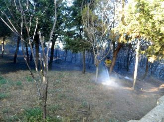 Mudanya’da 3 Hektar Ormanlık Alan Kül Oldu