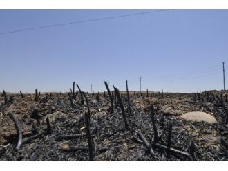 Diyarbakır İtfaiyesi 3 Ayda Bin 605 Anız Yangınına Müdahale Etti