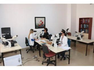 Bülent Ecevit Üniversitesi, Tıbbi Patoloji Alanında Da Fark Attı