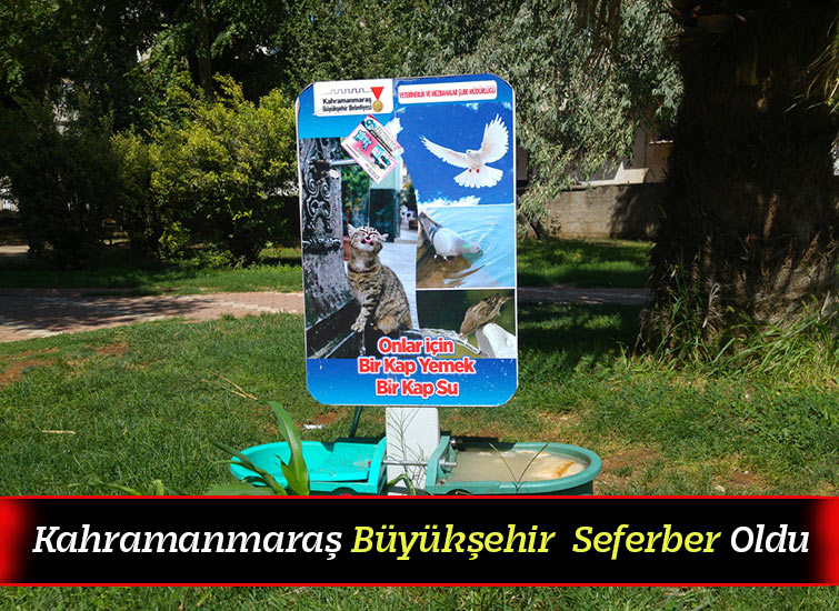 Kahramanmaraş Büyükşehir  Seferber Oldu