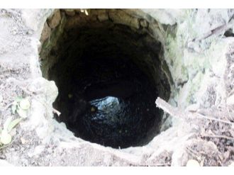 Su Kuyusuna Düşen İnek Vinçle Kurtarıldı