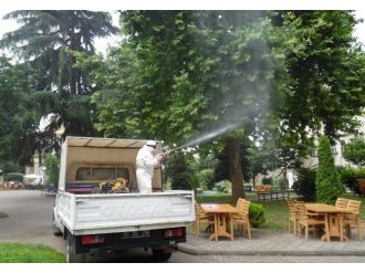 Ortahisar Belediyesi Yeşil Alanlarda İlaçlama Yapıyor