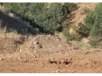 Bingöl’de Yola Döşenen Bomba İmha Edildi