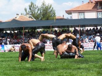 Altın Kiraz Güreşleri Başlıyor