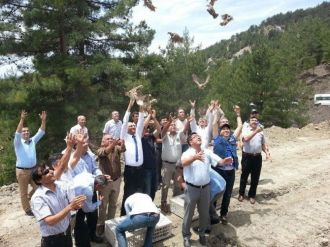 Feke’de 500 Keklik Doğayla Buluştu