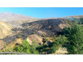 Sivrice’de Çıkan Yangında 90 Dönüm Arazi Zarar Gördü