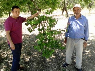Özcan’dan ‘İyi Tarım Uygulamaları’ Uyarısı