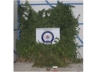 Düzcede Uyuşturucu Operasyonu