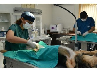 Muhittin Böcek: Türkiye’nin En İyisi Olacak