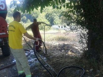 Alaplı’da 2 Dönüm Fındık Tarlası Zarar Gördü