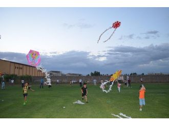 Muş’ta Telli Turna İçin Uçurtma Şenliği