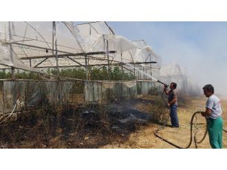 Manavgat’ta Yangın