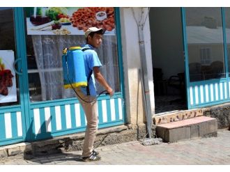 Karasineklere Karşı İlaçlama Çalışması Yapılıyor