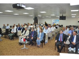 Kalkınma Kurulu Başkanlığına İpek Seçildi